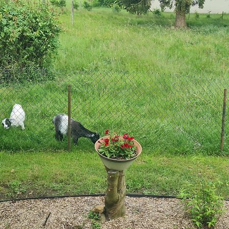 Maison Campagne Detente Thorigné-sur-Dué Екстериор снимка